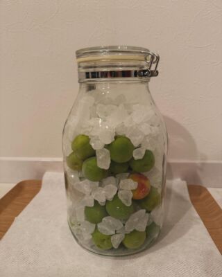 梅シロップ。毎日忘れずに瓶を振らなきゃ！